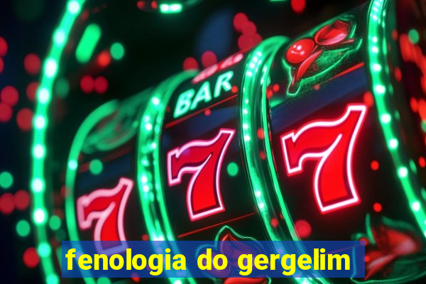 fenologia do gergelim